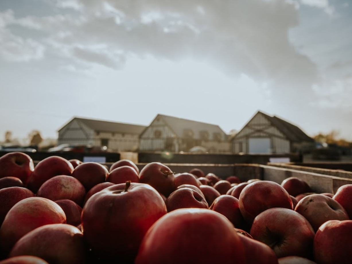 Virtue Cider’s 48-acre farm