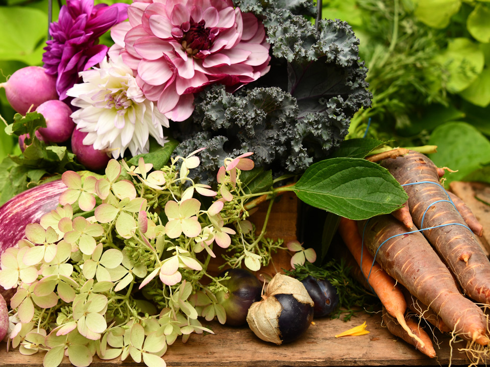 Farmers markets near Saugatuck