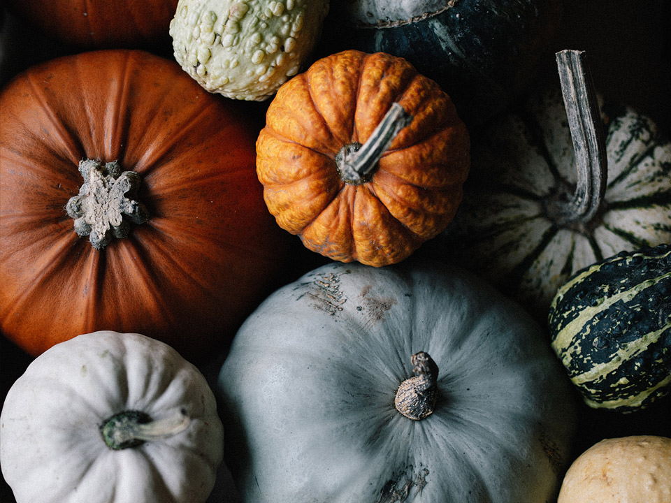 October Decor Pumpkins Saugatuck, MI