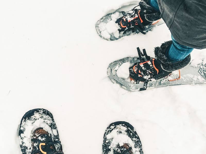 Snowshoeing through Western Michigan - Wickwood Inn