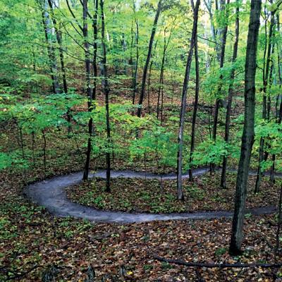 Bike Trails in Saugatuck