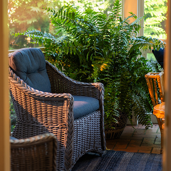 Sunsetting through the screen terrace